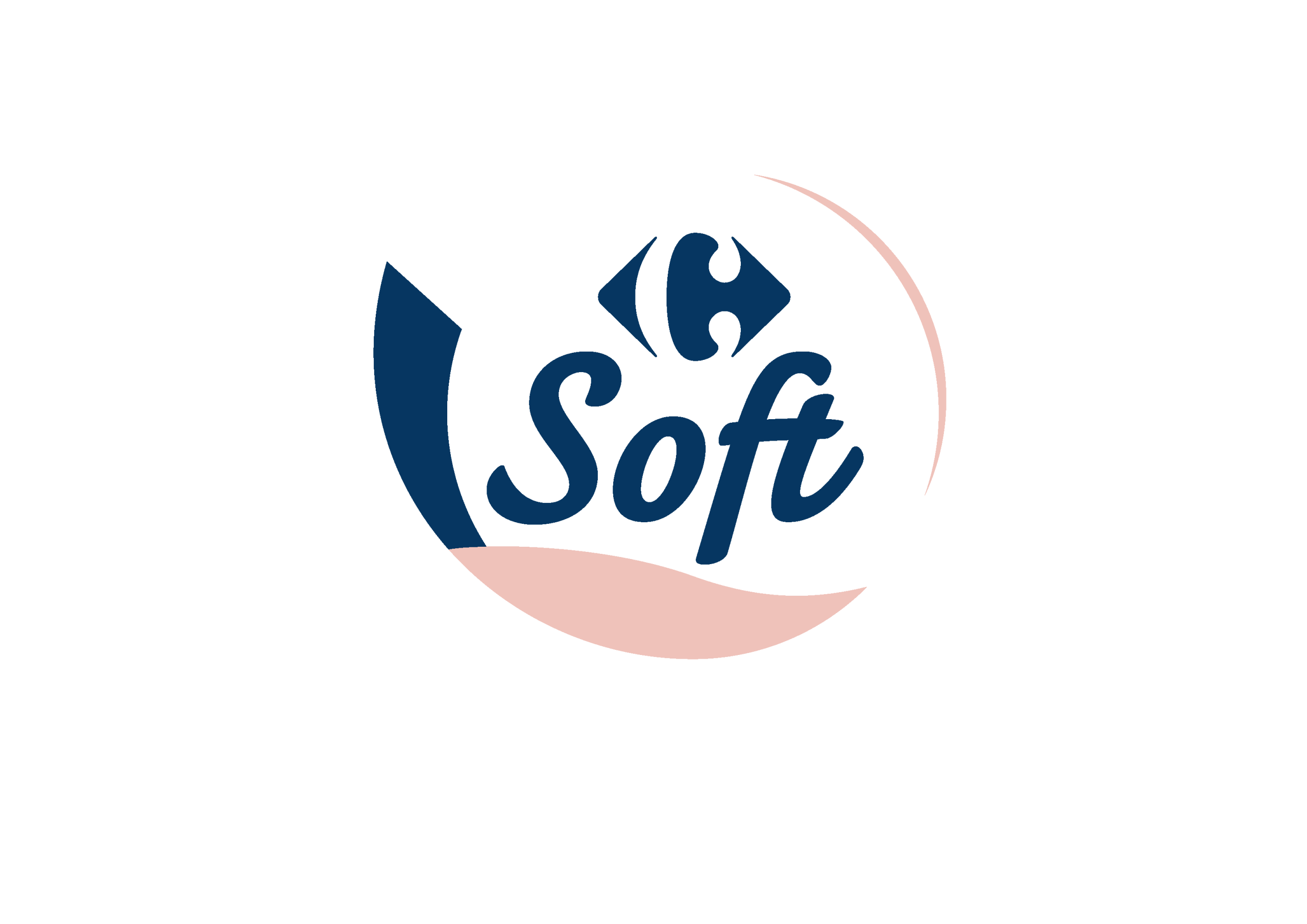 15168-190808-CARREFOUR-logo-soft
